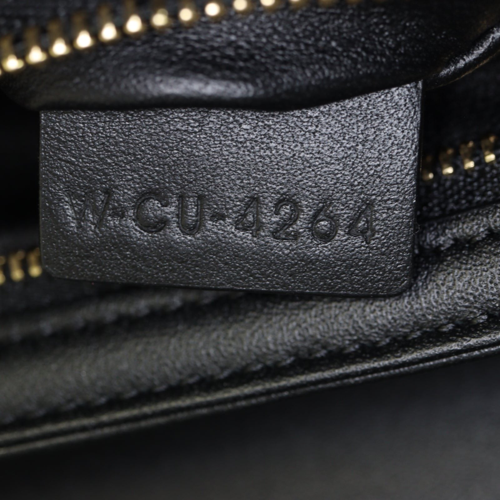 Celine Classique Triomphe Crossbody_IMG_1503.jpg