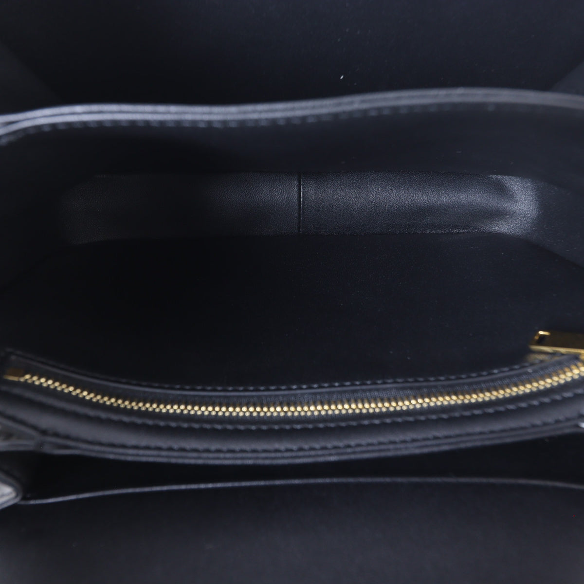 Celine Classique Triomphe Crossbody_IMG_1507.jpg
