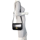 Celine Classique Triomphe Crossbody_IMG_1731.jpeg