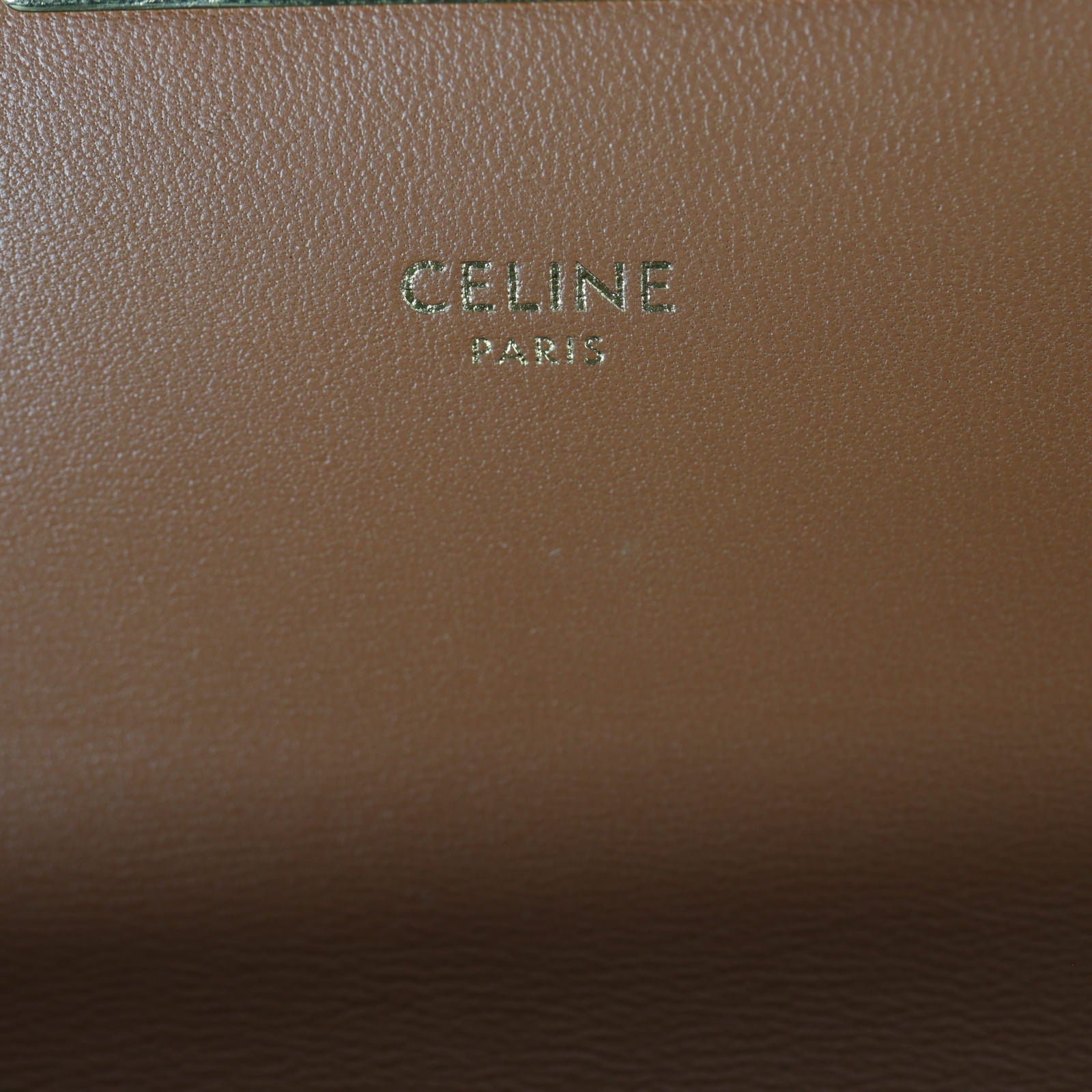 Celine Claude Triomphe Canvas Shoulder Bag_IMG_4559.jpg