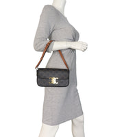 Celine Claude Triomphe Canvas Shoulder Bag_IMG_9456.jpeg