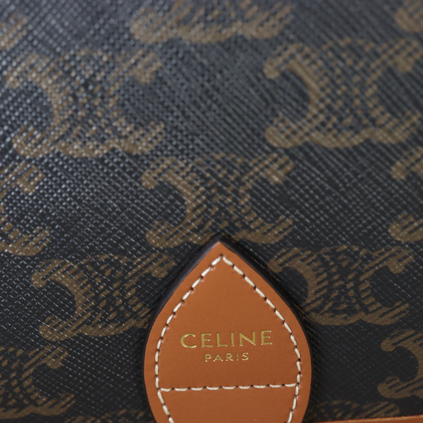 Celine Folco Medium Bag Triomphe_IMG_5841.jpg