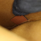 Celine Folco Medium Bag Triomphe_IMG_5850.jpg