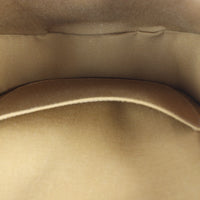 Celine Folco Medium Bag Triomphe_IMG_5851.jpg