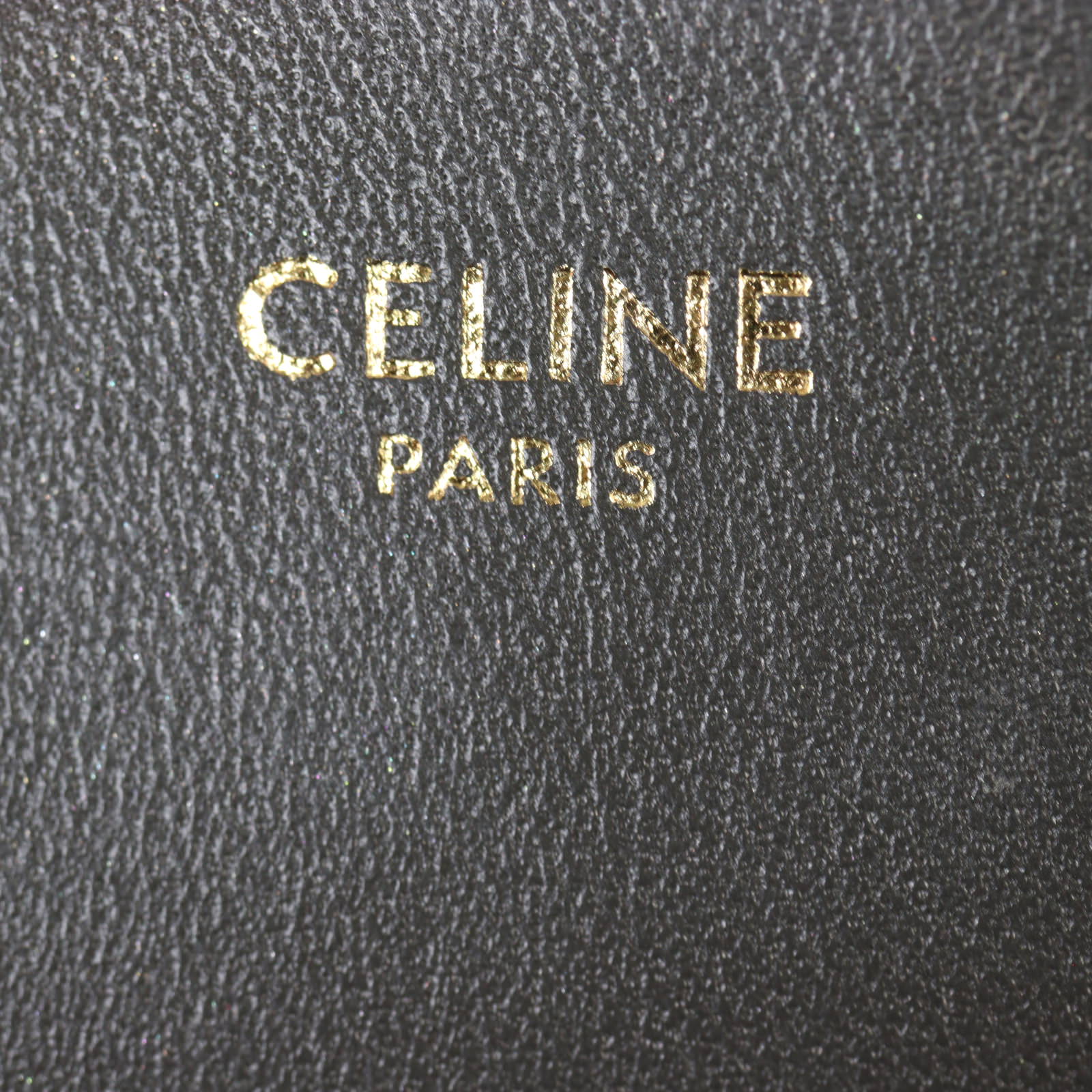 Celine Louise Triomphe Bucket Bag Small_IMG_2194.jpg