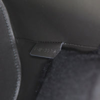 Celine Louise Triomphe Bucket Bag Small_IMG_2200.jpg