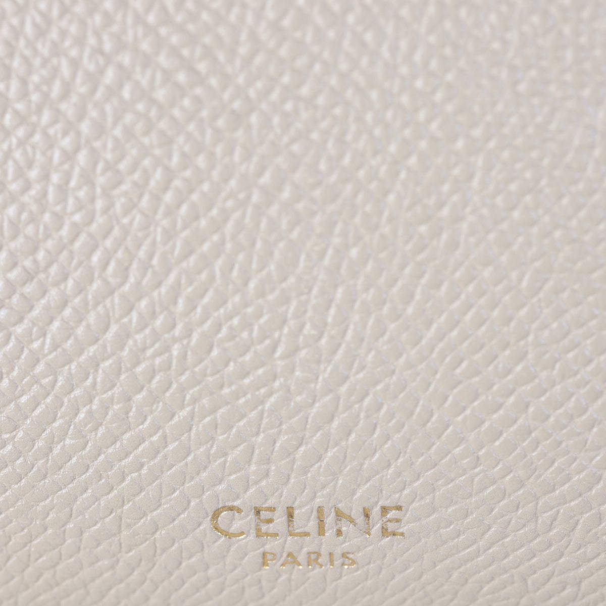 Celine Micro Belt Bag _IMG_6818.jpg