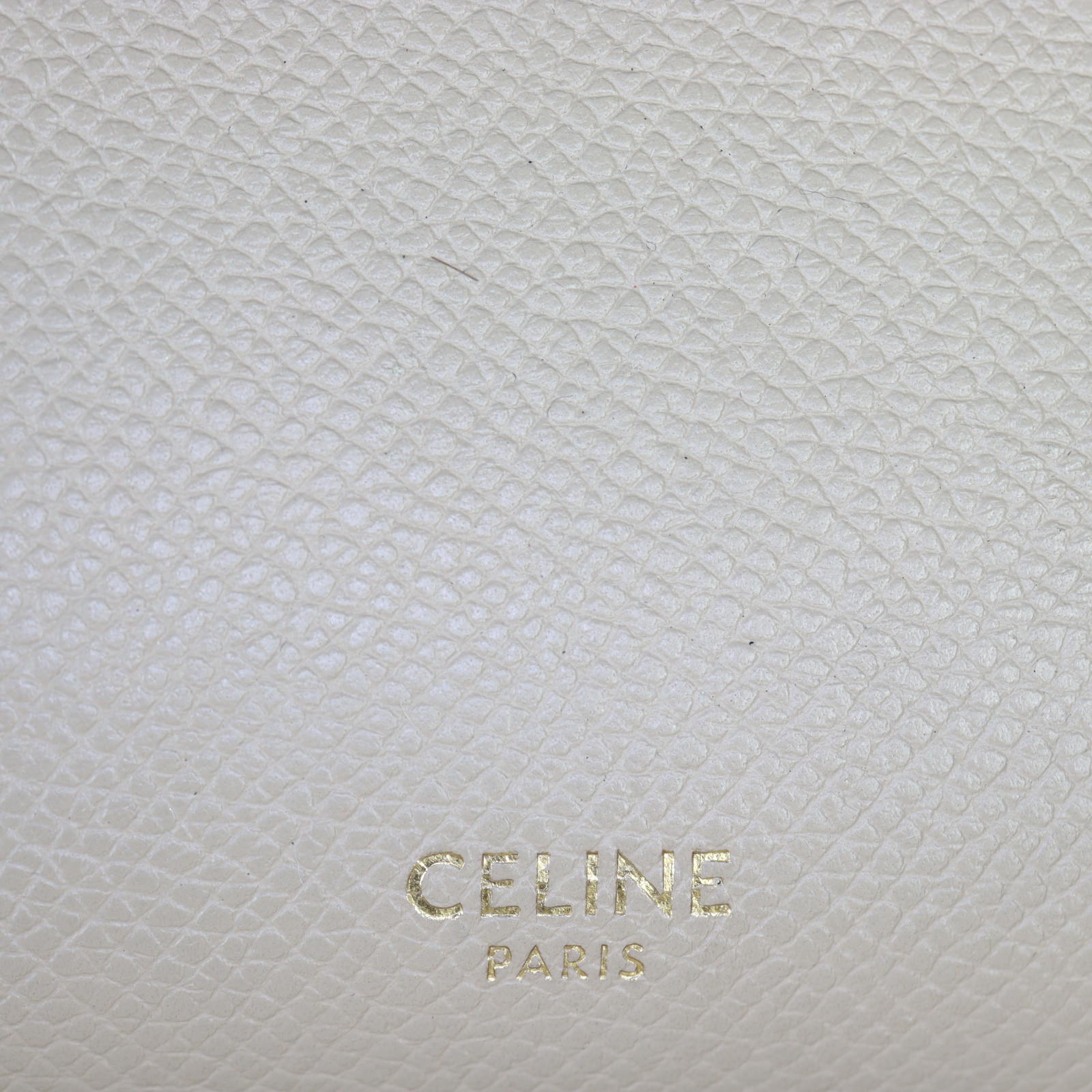 Celine Micro Belt Bag_IMG_0741.jpg