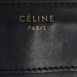 Celine Micro Luggage Tote_IMG_0888.jpg