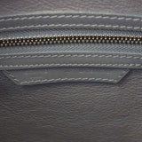 Celine Mini Luggage Tote_IMG_3656.jpg