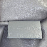 Celine Mini Luggage Tote_IMG_3658.jpg