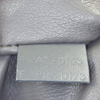 Celine Mini Luggage Tote_IMG_3658.jpg