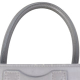 Celine Mini Luggage Tote_IMG_3663.jpeg