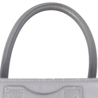 Celine Mini Luggage Tote_IMG_3663.jpeg