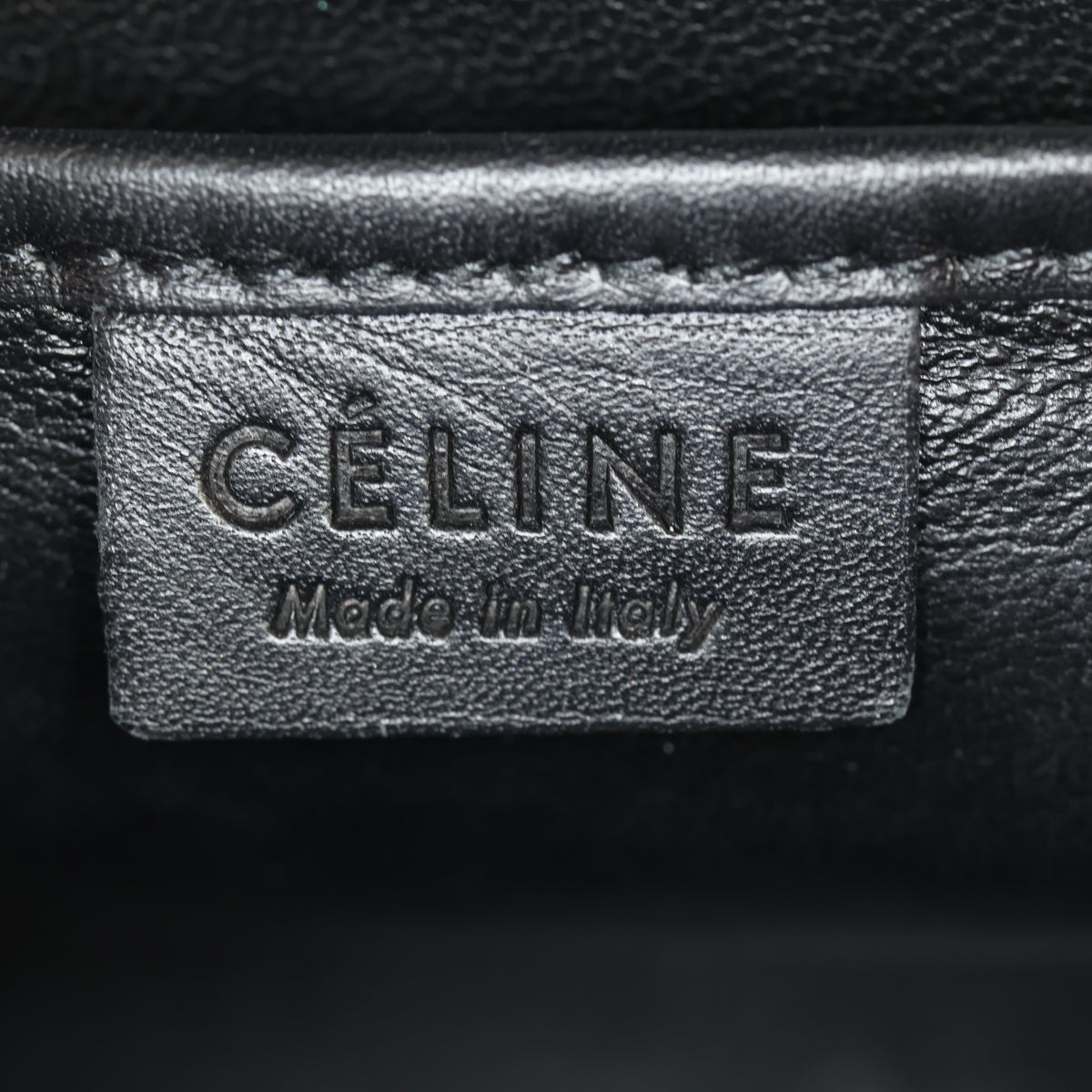 Celine Nano Luggage Tote_IMG_6604.jpg