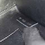 Celine Nano Luggage Tote_IMG_6610.jpg