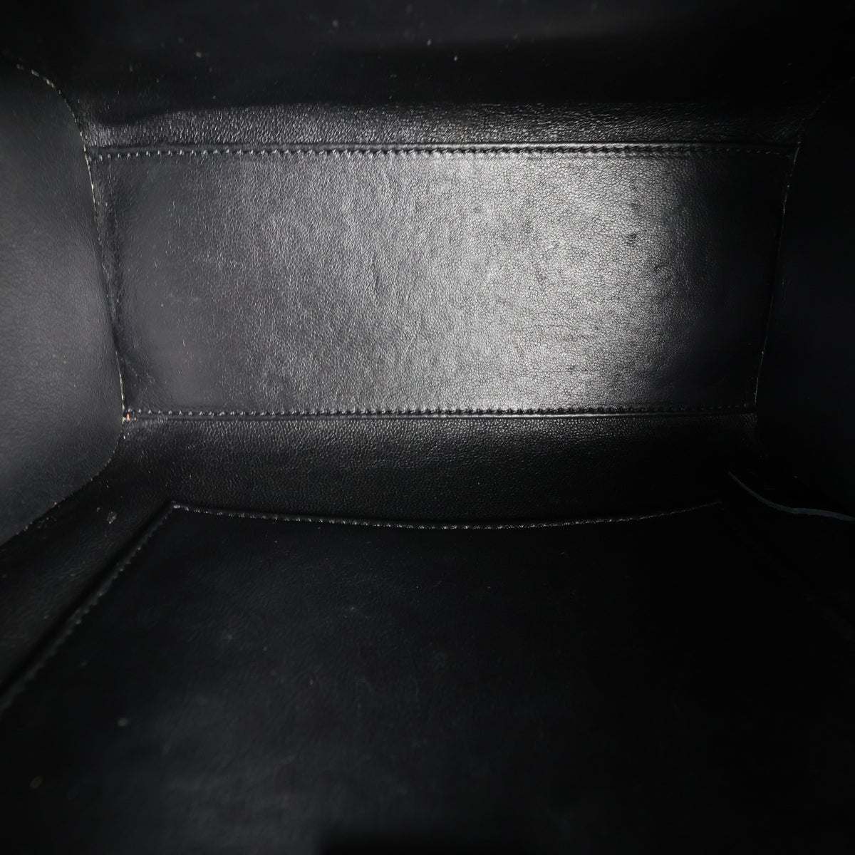 Celine Nano Luggage Tote_IMG_6613.jpg