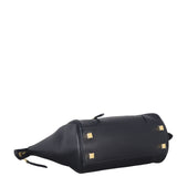 Celine New Luggage Tote Little_IMG_6648.jpeg