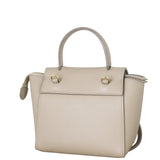 Celine Pico Belt Bag_IMG_6564.jpeg