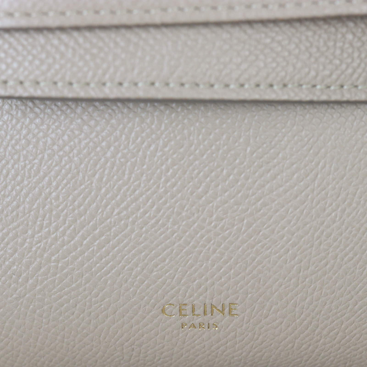 Celine Pico Belt Bag_IMG_6567.jpg