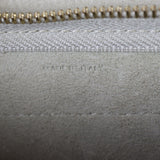 Celine Pico Belt Bag_IMG_6569.jpg