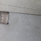 Celine Pico Belt Bag_IMG_6570.jpg