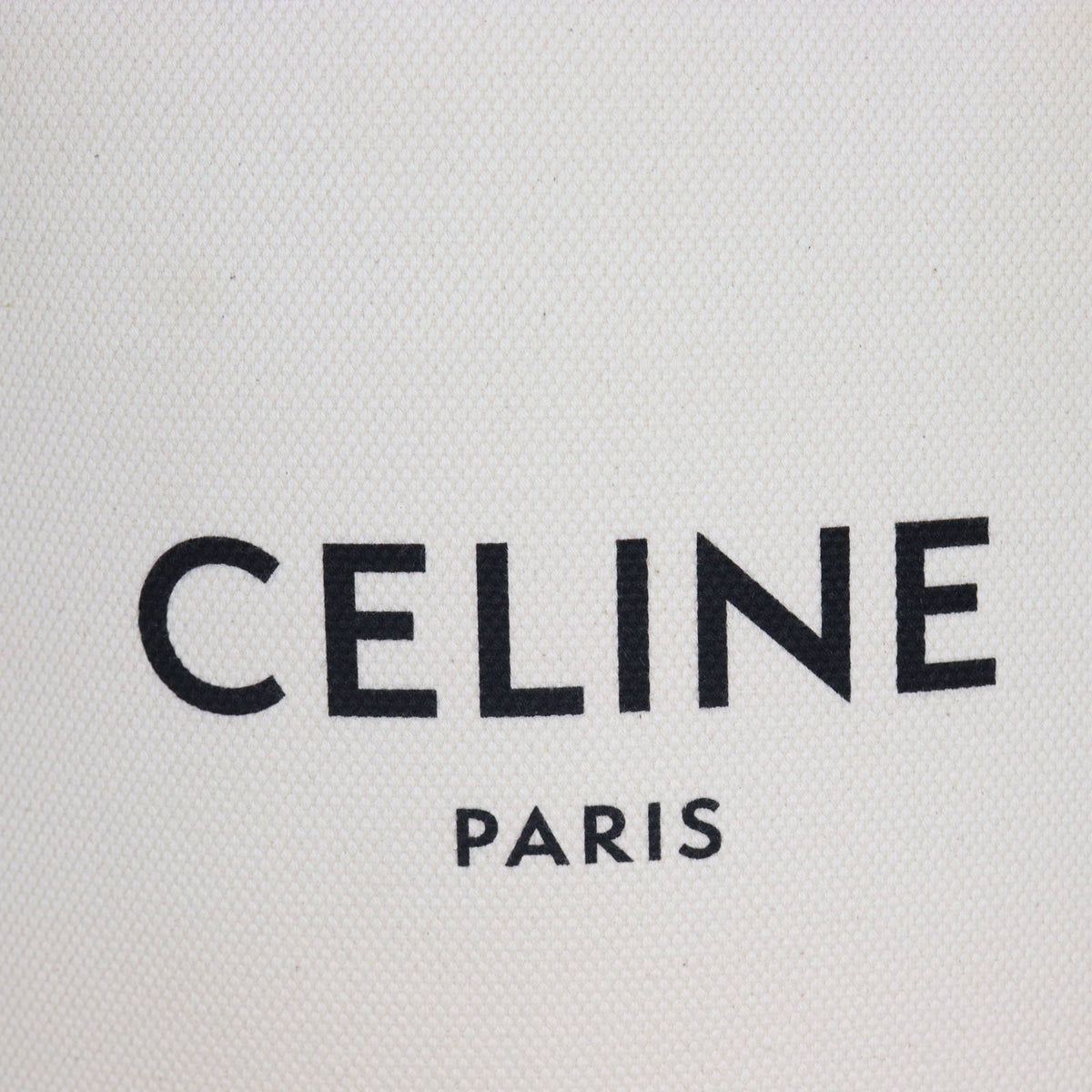 Celine Small Vertical Cabas Tote_IMG_6648.jpg