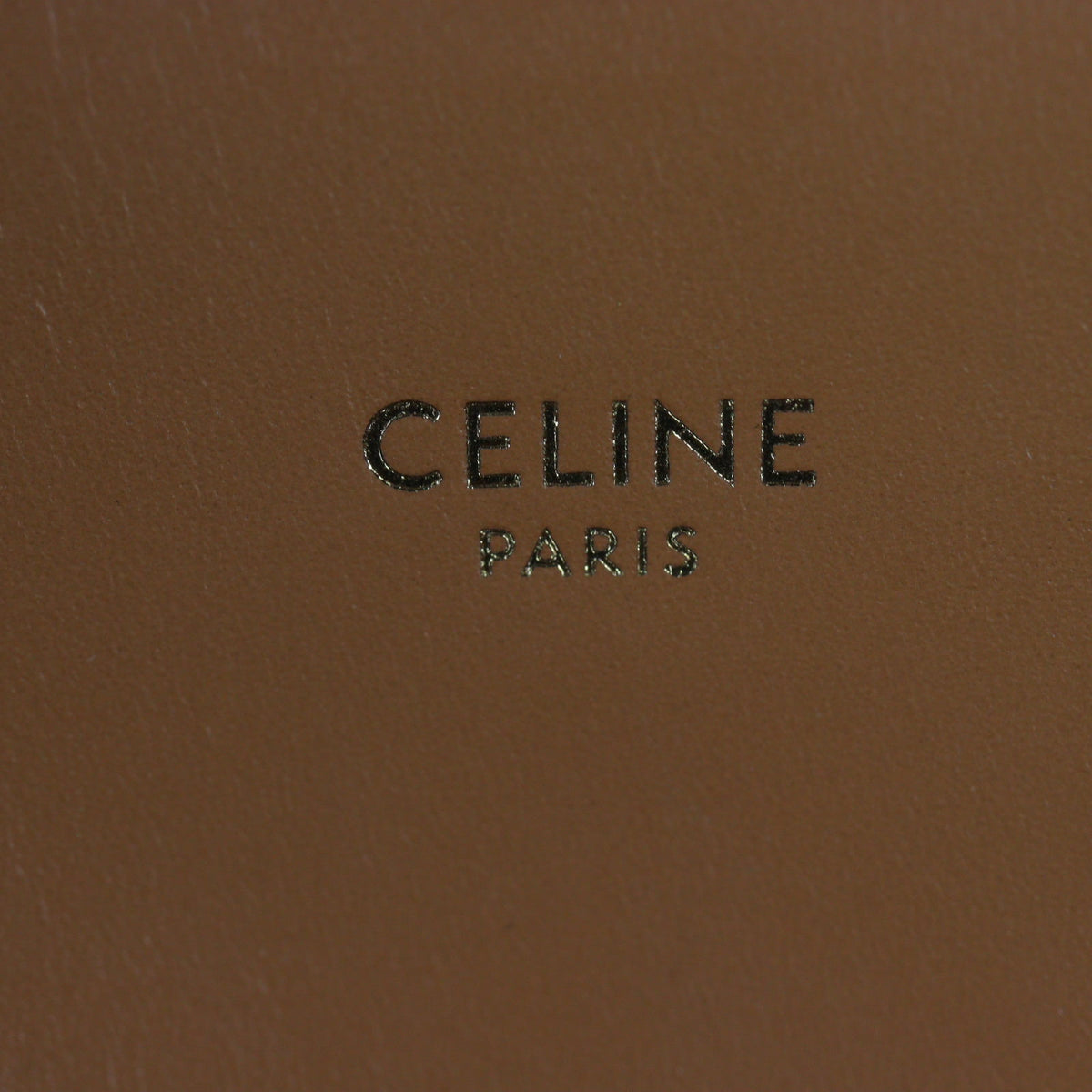 Celine Small Vertical Cabas Tote_IMG_6649.jpg