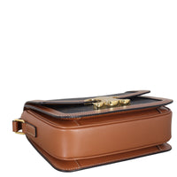 Celine Teen Triomphe Crossbody _IMG_5206.jpeg