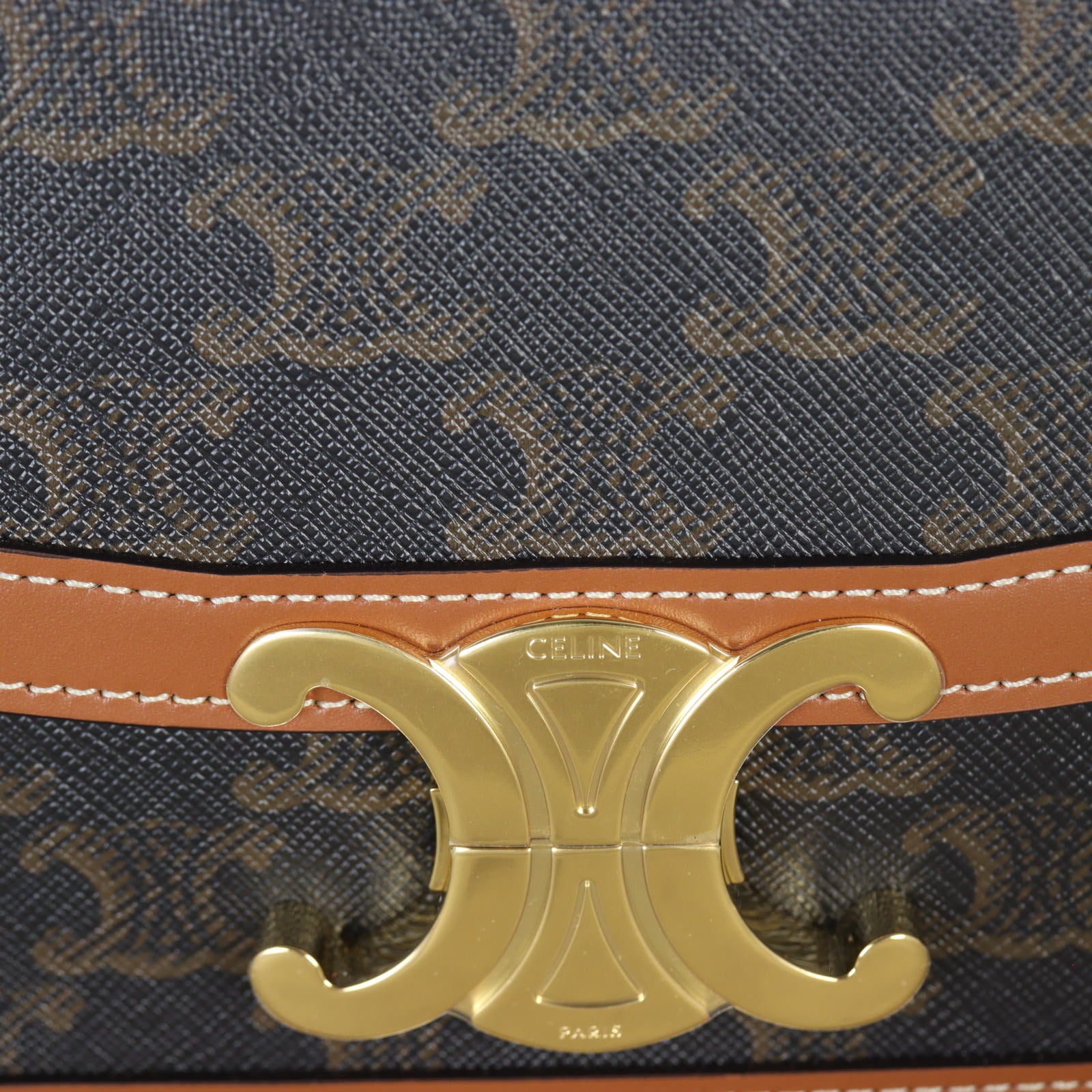 Celine Teen Triomphe Crossbody _IMG_5207.jpg