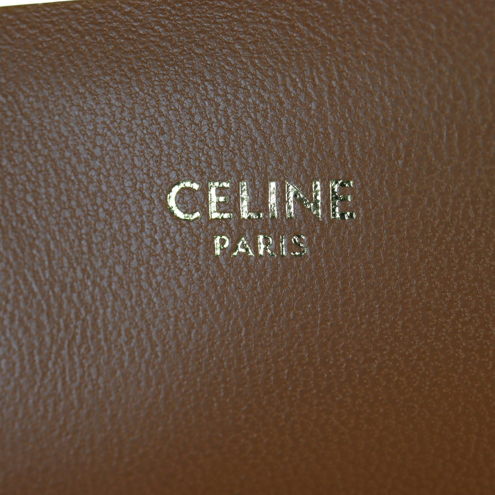 Celine Teen Triomphe Crossbody _IMG_5209.jpg