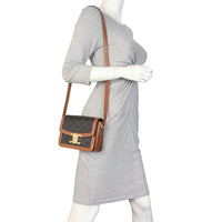 Celine Teen Triomphe Crossbody _IMG_5254.jpeg