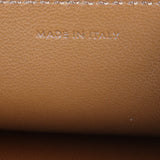 Celine Teen Triomphe Crossbody _IMG_5650.jpg