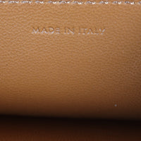 Celine Teen Triomphe Crossbody _IMG_5650.jpg