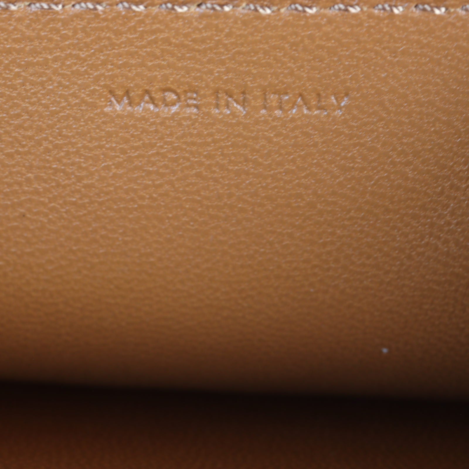 Celine Teen Triomphe Crossbody _IMG_5650.jpg