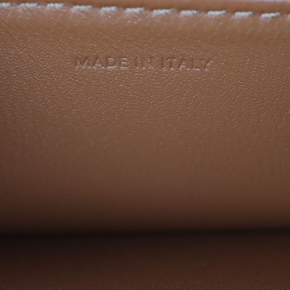 Celine Teen Triomphe Crossbody_IMG_1524.jpg