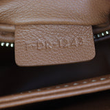 Celine Teen Triomphe Crossbody_IMG_1525.jpg