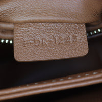 Celine Teen Triomphe Crossbody_IMG_1525.jpg