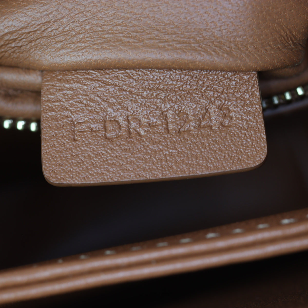 Celine Teen Triomphe Crossbody_IMG_1525.jpg