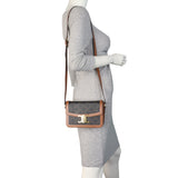 Celine Teen Triomphe Crossbody_IMG_1732.jpeg