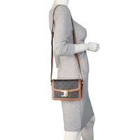 Celine Teen Triomphe Crossbody_IMG_1732.jpeg