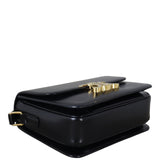 Celine Teen Triomphe Crossbody_IMG_9962.jpeg