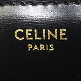 Celine Teen Triomphe Crossbody_IMG_9969.jpg