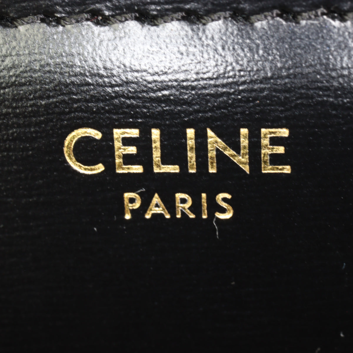 Celine Teen Triomphe Crossbody_IMG_9969.jpg