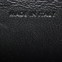 Celine Teen Triomphe Crossbody_IMG_9971.jpg