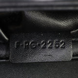 Celine Teen Triomphe Crossbody_IMG_9973.jpg