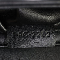 Celine Teen Triomphe Crossbody_IMG_9973.jpg