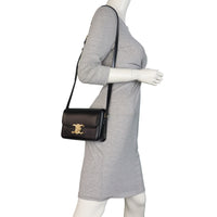 Celine Teen Triomphe Crossbody_IMG_9993.jpeg