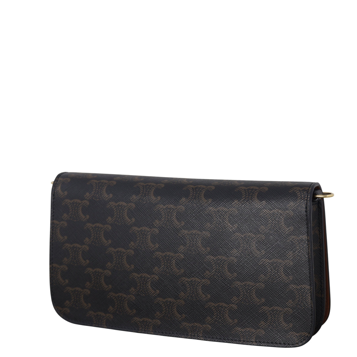 Celine Triomphe Canvas Multipochette_IMG_7435.jpeg