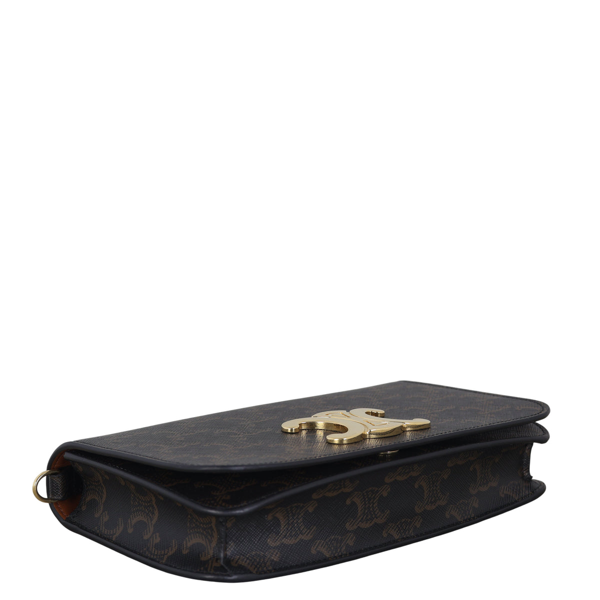 Celine Triomphe Canvas Multipochette_IMG_7436.jpeg